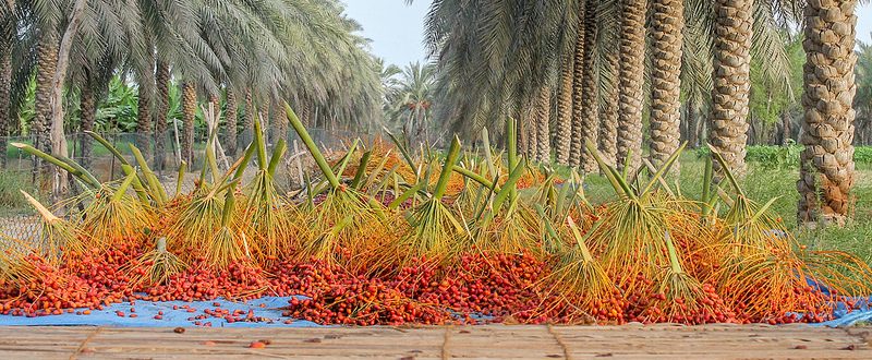 Investments in a Holistic Vision