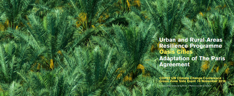 Resilience Programme