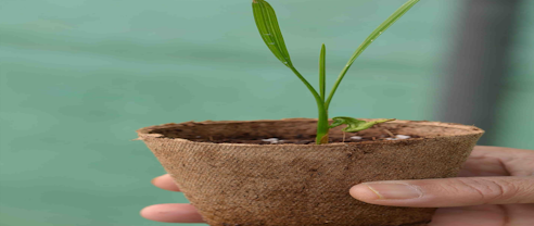 Hardening Off Program